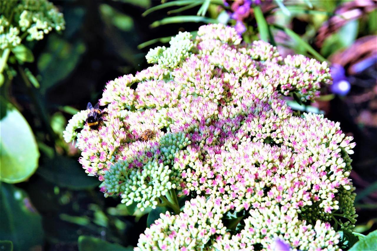 Thueringer Waldidyll Brotterode Exterior foto